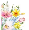 watercolor floral composition vector image