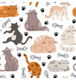 cats flat seamless pattern doodle cat fluffy vector image