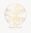 magnolia branch with seeds logo templates vector image