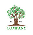 big tree with leaves emblem for company vector image vector image