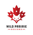 fox animal logo design and symbol canada vector image vector image