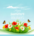 summer holiday background with a green grass vector image vector image