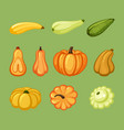 pumpkins and zucchini set ripe yellow vegetable vector image vector image
