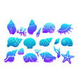 colorful sea shells algae and starfish vector image