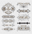 old vintage floral elements vector image