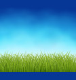 fresh green grass vector image