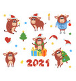 happy chinese new year cows and bulls vector image
