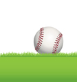 baseball in the grass vector image