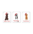 christmas card set with santa dogs isolated vector image