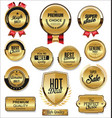 luxury retro badges and labels collection 3002 vector image