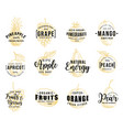 fruits and berry lettering icons vector image vector image