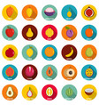 fruits icons set flat style vector image