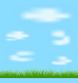 natural green grass and blue background vector image