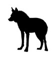 maned wolf silhouette vector image