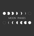 astrology moon shapes vector image vector image