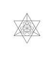 flower life metatron merkaba sacred geometry vector image