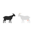 goat vector image
