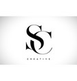 sc artistic letter logo design with serif font vector image