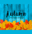 autumn sale background with colorful leaves vector image vector image