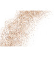 coffee color grain texture vector image