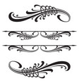 calligraphic design elements vector image