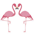 elegant flamingo birds couple vector image
