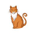 hand-drawn red cat isolated on white background vector image