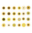 set sunflower flowers collection cartoon vector image vector image
