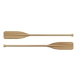 two wooden paddles sport oars vector image