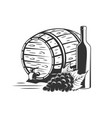 bunch of grapes wooden barrel and bottle of wine vector image