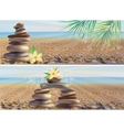 massage spa stones vector image