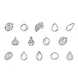 raw exotic fruit line icons outline pictograms vector image vector image