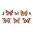 retro hippie summer groovy butterfly vector image