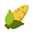 corn icon colorful cartoon icon vector image vector image