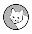 cat face vector image vector image
