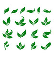 abstract green leaf isolated icons design set vector image