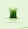 grass vector image