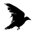 corbie vector image