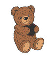 teddy bear color sketch engraving vector image vector image