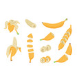 cartoon banana healthy tropical fruit vector image