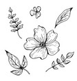 flower doodle hand drawn vector image