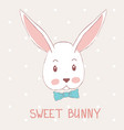 sweet white bunny vector image vector image