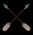 crossed indian arrows vector image