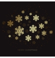 golden snowflake on a dark background vector image