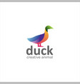 colorful duck logo design creative sign vector image