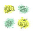 botanic organic herbal nature set handdrawn vector image