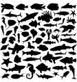 sea animals vector image