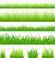 grassy borders vector image