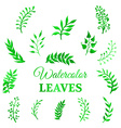 set of watercolour leaves vector image