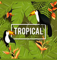 tropical flowers background summer design vector image